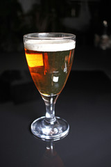 Beer on glass on black reflective studio background. Isolated black shiny mirror mirrored background for every concept..