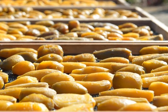Dried sweet potato ball at Ibaraki Japan, winter homemade local food
