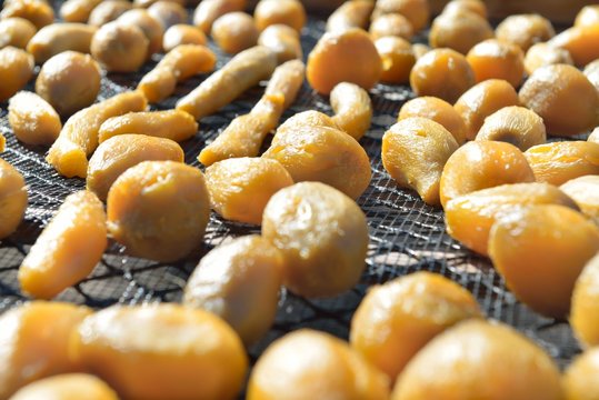 Dried sweet potato ball at Ibaraki Japan, winter homemade local food
