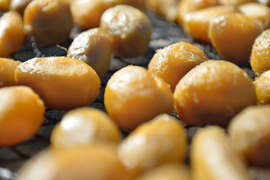 Dried sweet potato ball at Ibaraki Japan, winter homemade local food close up