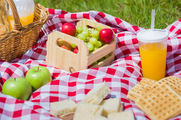 Great concept of pic-nic, pic-nic with fruits and juice on green lawn with beautiful view