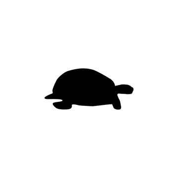 silhouette of a turtle icon. Element of pet for mobile concept and web apps. Icon for website design and development, app development. Premium icon
