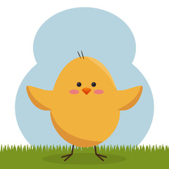 little chicken in grass vector illustration design