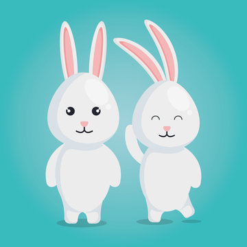 cute rabbits couple characters vector illustration design