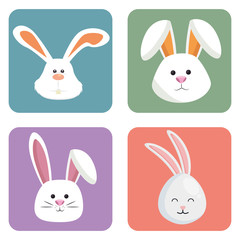 cute rabbits set heads icons vector illustration design