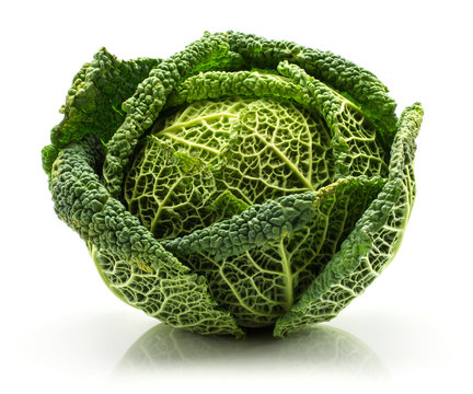 One savoy cabbage isolated on white background fresh green head.