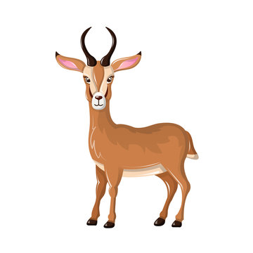 Beautiful funny cartoon antelope. Cute, fast antelope with sharp horns.