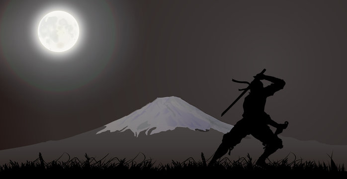 Japanese assassin, Ninja, Fujiyama 