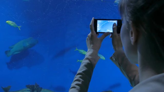 Woman take a photo in oceanarium. Technology and entertainment concept