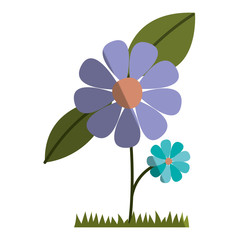 flower and leafs cultivated vector illustration design