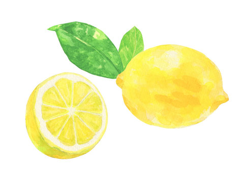 レモン Images Browse 29 671 Stock Photos Vectors And Video Adobe Stock