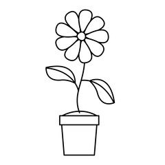 flower in pot floral decoration vector illustration design