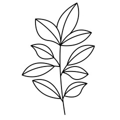 cute leafs decorative icon vector illustration design