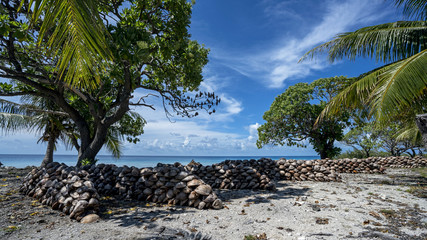 Drying coconuts to produce copra, coconut meal, a valuable commodity in French Polynesia.