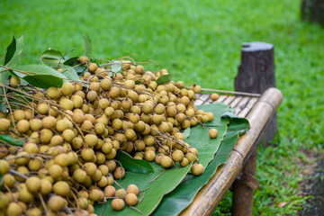 Longan fruit