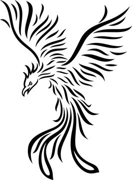 Phoenix tattoo isolated on white background