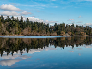 reflection of trees and blue sky in the pond