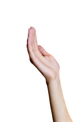 Hand of a young woman