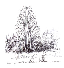 Landscape with trees and shrubs without leaves autumn winter spring. Hand-drawn illustration of nature marker.