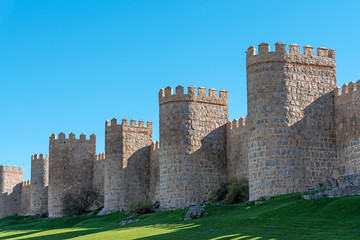 Fototapeta na wymiar The city wall of Avila in Spain on a sunny day