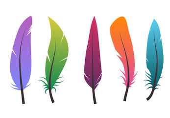 Set of colorful different feathers. Vector elements for your design.