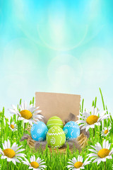 Easter card. Painted Easter eggs with feathers in the nest on green grass with flowers daisies on blue blurred background