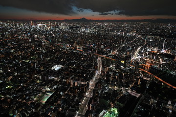 日本の東京都市景観・澄み切った夜景・東京タワーや新宿、隅田川などを望む（奥に富士山のシルエット）