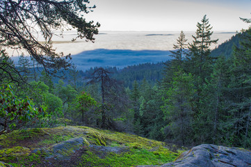 Morning haze from the top of a mountain in Ladysmith, Vancouver Island, BC