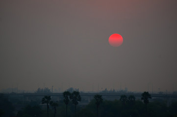 almost night sunset near forest