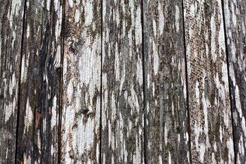 Obraz premium Stara tablica. drewniane tła.