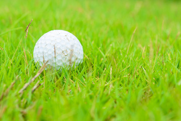 Golf ball on grass