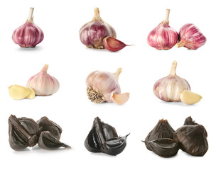 Set with aromatic black (Allium sativum) and white garlic bulbs on white background