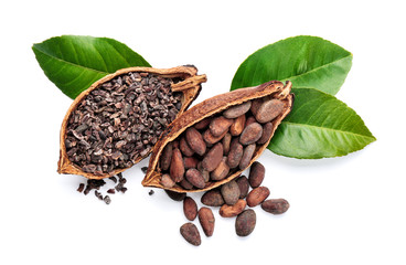 Halves of ripe cocoa pod with beans and nibs on white background