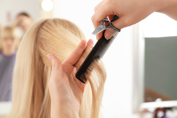 Professional hairdresser working with client in salon