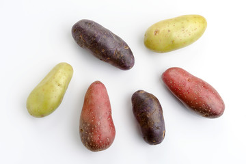 overhead shot of group of colorful potatoes isolated on white