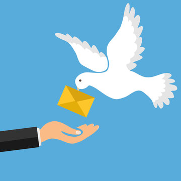 The mail pigeon brings a letter. Golub brought the letter into the man's hand. The concept of receiving mail.