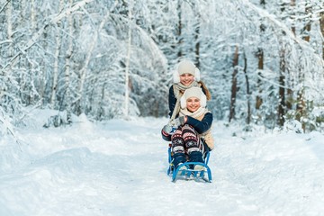 Fototapeta na wymiar Beautiful teenage girls twins sisters riding sledge and having fun outside in a wood with snow in winter on a wonderful frosty sunny day. Friendship, family, togetherness and active life consept