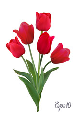 8 March - International Women's Day.