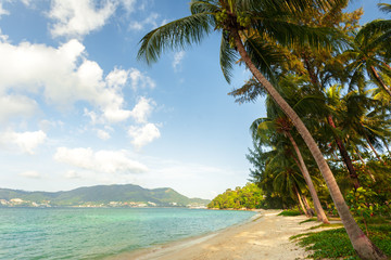 Obraz premium Sea. Tropical Paradise.