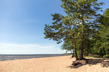 Fototapeta na wymiar beach with trees