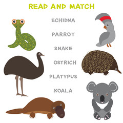 Kids words learning game worksheet read and match. Funny animals ostrich snake parrot echidna platypus koala Educational Game for Preschool Children Picture puzzle. Vector