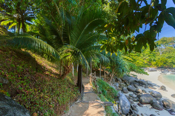 Obraz premium Sea. Tropical Paradise.