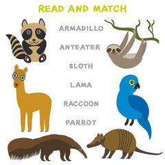 Kids words learning game worksheet read and match. Funny animals Armadillo Anteater Sloth Lama Raccoon Parrot Educational Game for Preschool Children Picture puzzle. Vector