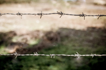 Two strands of barbed wire.
