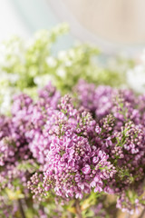 Obraz premium Spring violet lilac flowers, abstract soft floral background.