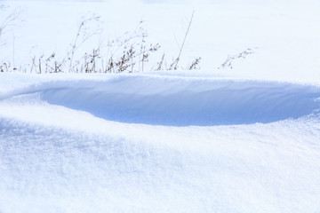 white snow and dry grass scene in winter
