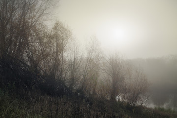 Obraz na płótnie Canvas foggy autumn morning on the banks of a small river