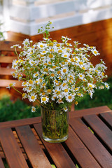 Beautiful chamomiles in a glass vase on wooden table