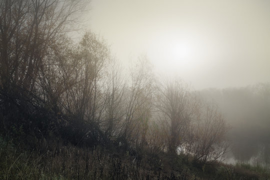 foggy autumn morning on the banks of a small river