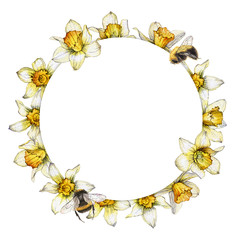 hand painted watercolor round frame made from the flowers of Narcissus and bees